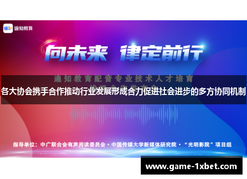 各大协会携手合作推动行业发展形成合力促进社会进步的多方协同机制