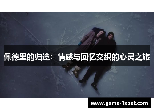 佩德里的归途：情感与回忆交织的心灵之旅