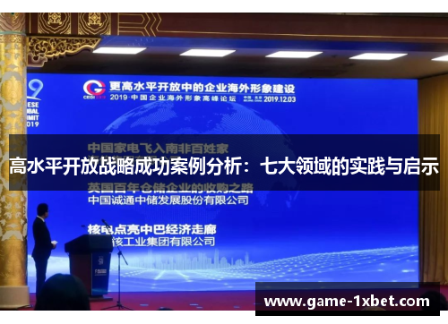 高水平开放战略成功案例分析：七大领域的实践与启示
