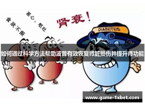 如何通过科学方法帮助波普有效恢复肾脏损伤并提升肾功能