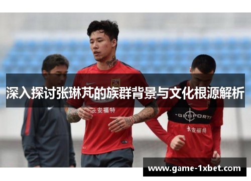 深入探讨张琳芃的族群背景与文化根源解析