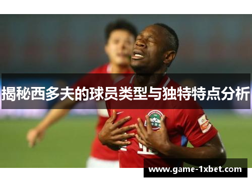 揭秘西多夫的球员类型与独特特点分析